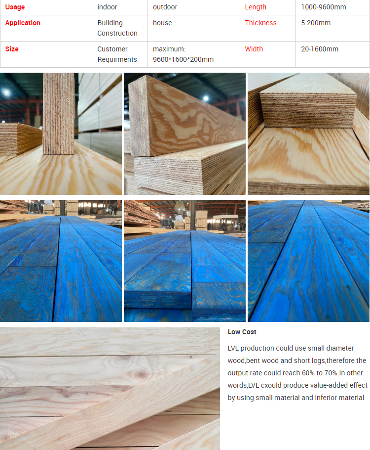 structural Laminated veneer lumber - Construction LVL - 2