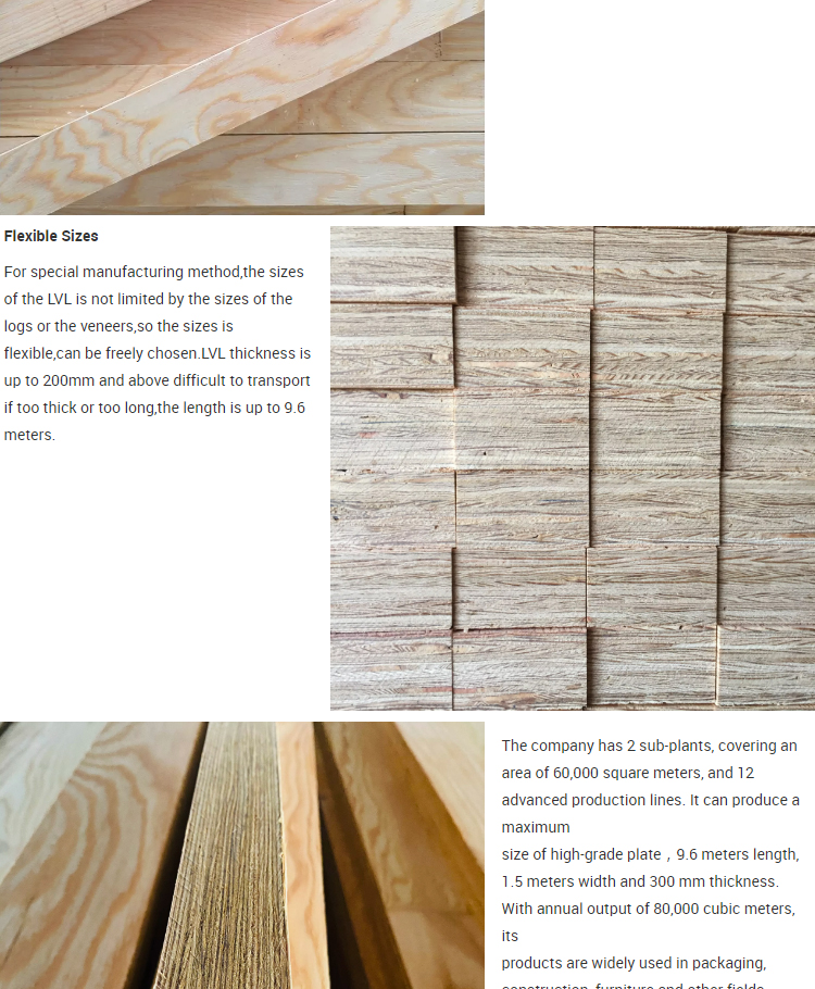structural Laminated veneer lumber - Construction LVL - 3