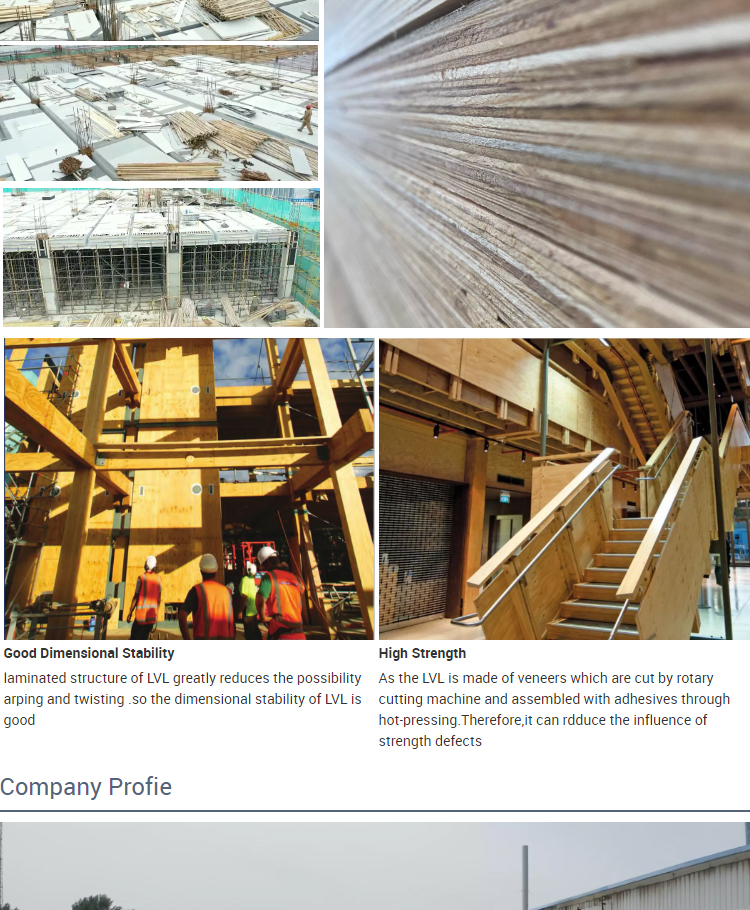 structural Laminated veneer lumber - Construction LVL - 7