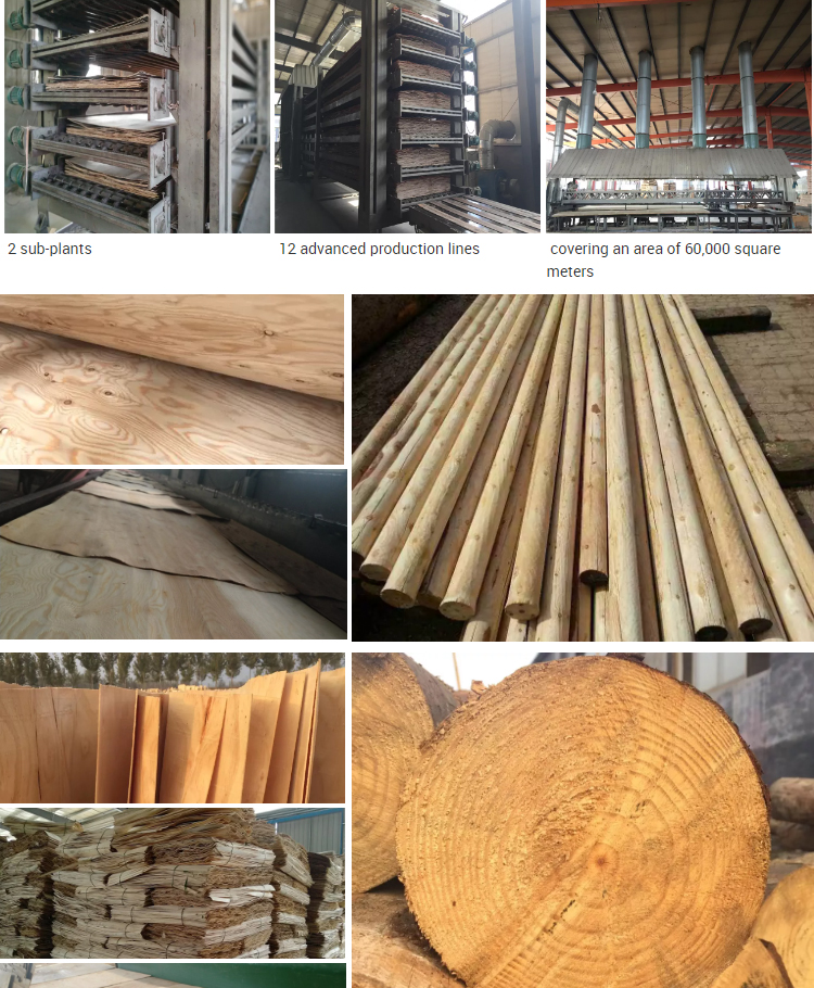 structural Laminated veneer lumber - Construction LVL - 9